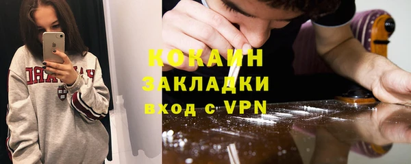 сатива Ростов