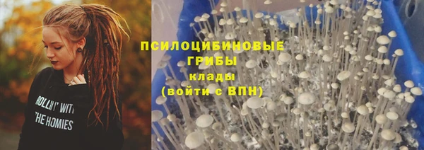 гидропоника Абаза